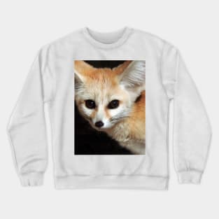 Fennec Fox Crewneck Sweatshirt